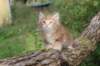 benny65weeks269202516_small.jpg