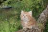 benny65weeks269202519_small.jpg