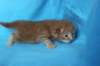 bennyd222weeks258202513_small.jpg