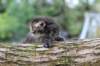 bina4weeks109202514_small.jpg