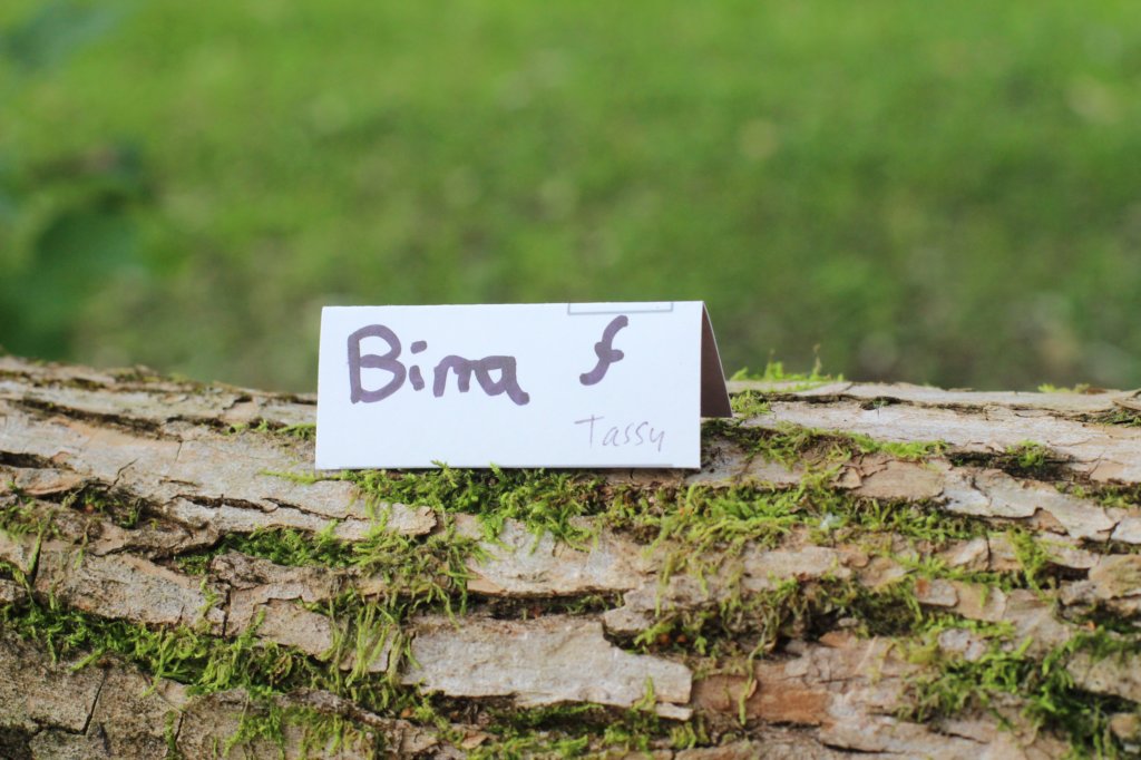 bina65weeks26920251.jpg