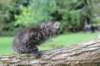 bina65weeks269202516_small.jpg