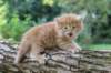 boaz4weeks10september202515_small.jpg