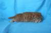 boazd242weeks258202510_small.jpg