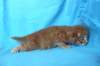 boazd242weeks258202513_small.jpg
