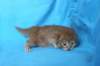 boazd242weeks258202514_small.jpg