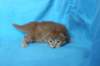 boazd242weeks258202515_small.jpg