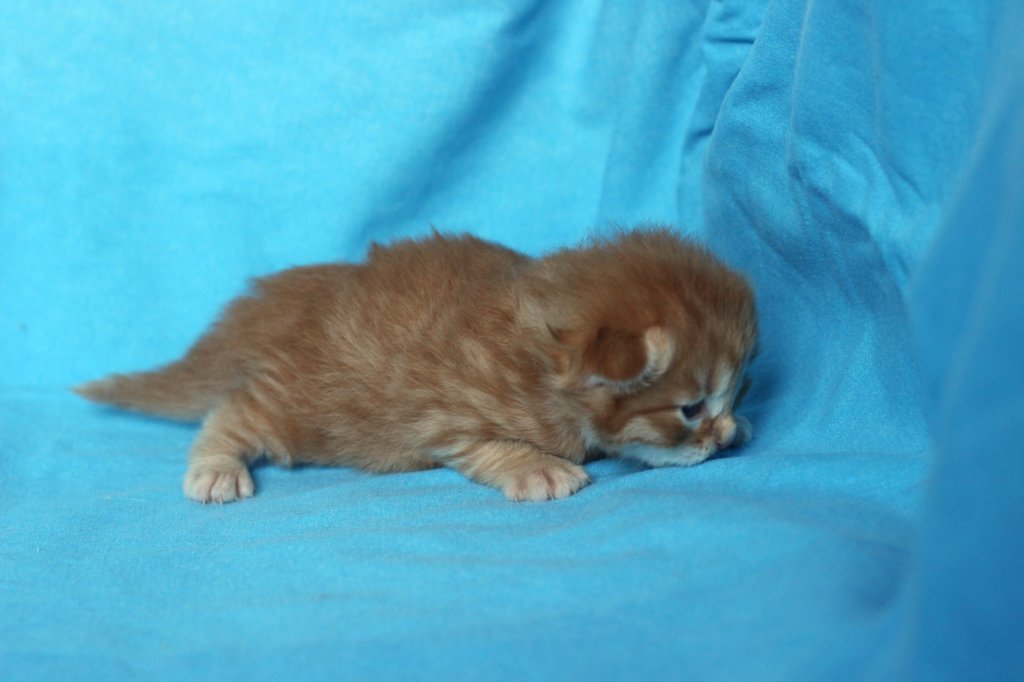 boazd242weeks258202518.jpg