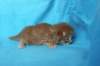 boazd242weeks258202518_small.jpg