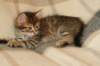 img_4689_small.jpg