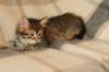 img_4699_small.jpg
