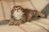 img_4709_small.jpg