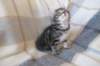 img_3887_small.jpg