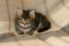 img_4627_small.jpg