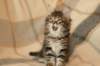 img_4651_small.jpg