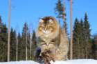 img_7482_small.jpg