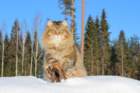 img_7493_small.jpg