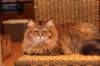 img_5573_small.jpg