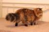 img_5575_small.jpg