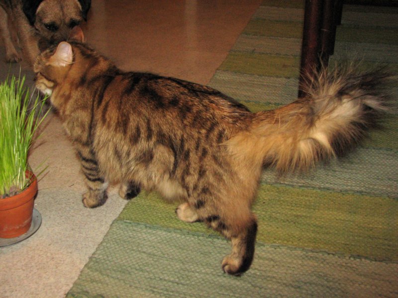 bonita15vuotiaanabonita15yearsold212200712.jpg
