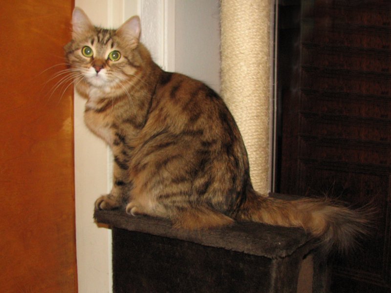 bonita15vuotiaanabonita15yearsold21220075.jpg