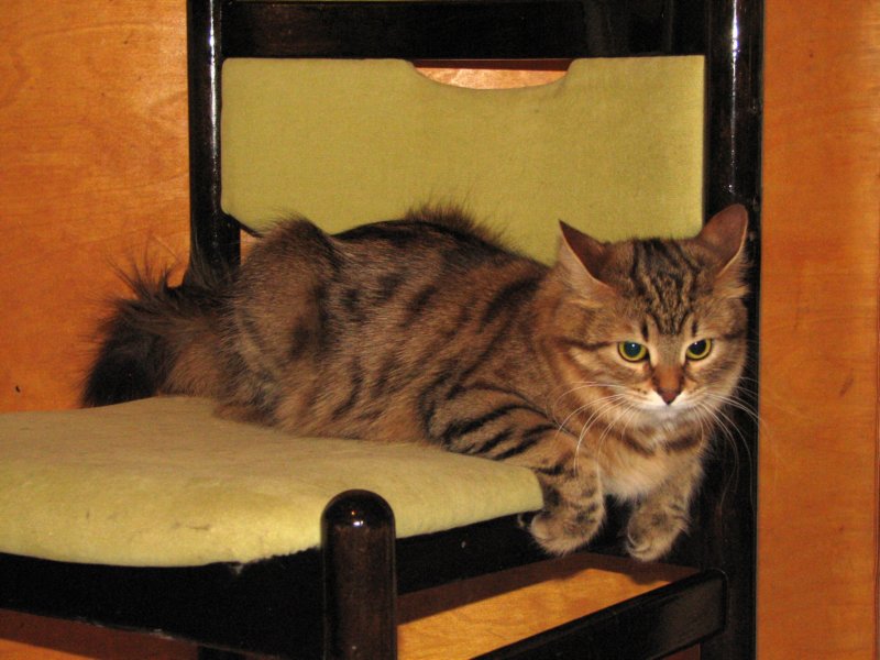 bonita15vuotiaanabonita15yearsold21220076.jpg