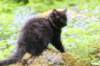 chana105viikkoa56202636_small.jpg