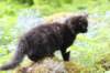 chana105viikkoa56202641_small.jpg