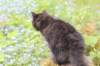 chana105viikkoa56202653_small.jpg