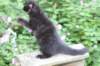 chana13viikkoa216202613_small.jpg
