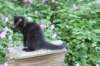 chana13viikkoa216202615_small.jpg