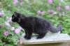 chana13viikkoa216202617_small.jpg