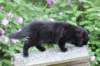 chana13viikkoa216202633_small.jpg