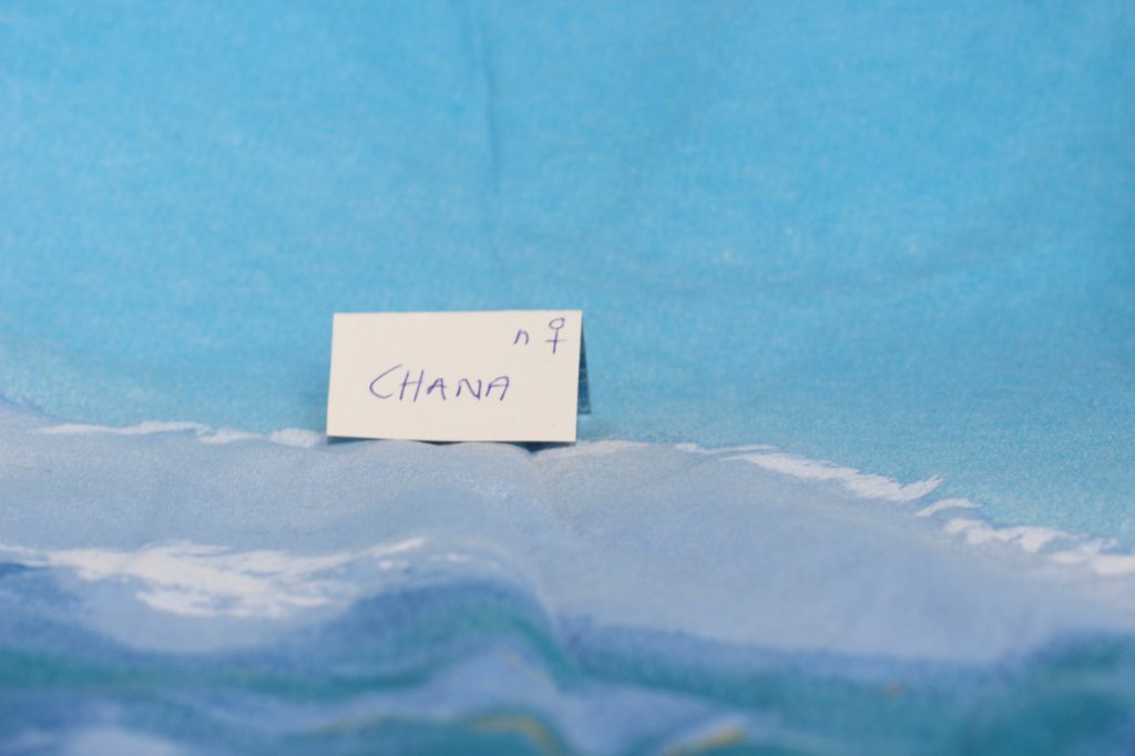 chana4vi22420261.jpg