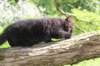 chana95weeks295202624_small.jpg