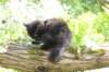 chana95weeks29520263_small.jpg