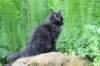 chanoch105viikkoa562026120_small.jpg