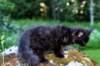 chanoch13viikkoa216202610_small.jpg