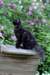 chanoch13viikkoa216202620_small.jpg