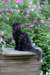 chanoch13viikkoa216202622_small.jpg