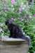 chanoch13viikkoa216202624_small.jpg