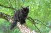 chanoch15weeks87202659_small.jpg