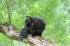 chanoch15weeks87202662_small.jpg