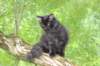 chanoch15weeks87202663_small.jpg