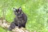chanoch15weeks87202664_small.jpg