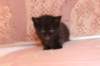 chanoch4vi224202669_small.jpg