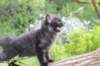 chanoch95weeks295202675_small.jpg