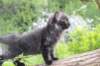 chanoch95weeks295202676_small.jpg
