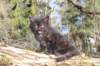 chanochns65weeks852026113_small.jpg