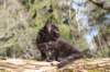 chanochns65weeks852026115_small.jpg